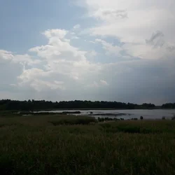 thumbnails/20220613_135556.tn.webp